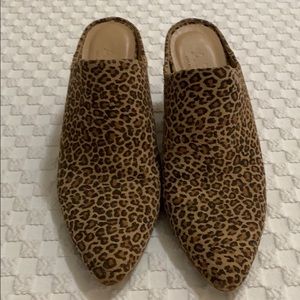 Leopard heeled slides.  Size 6.5